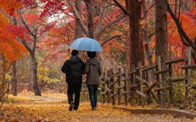Tree Blessings In Dark Times – Part 2