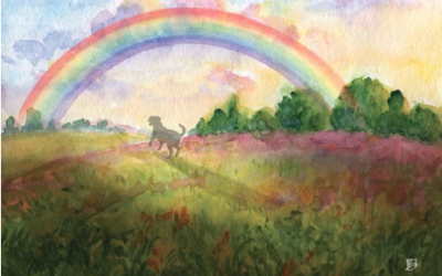 The Rainbow Bridge